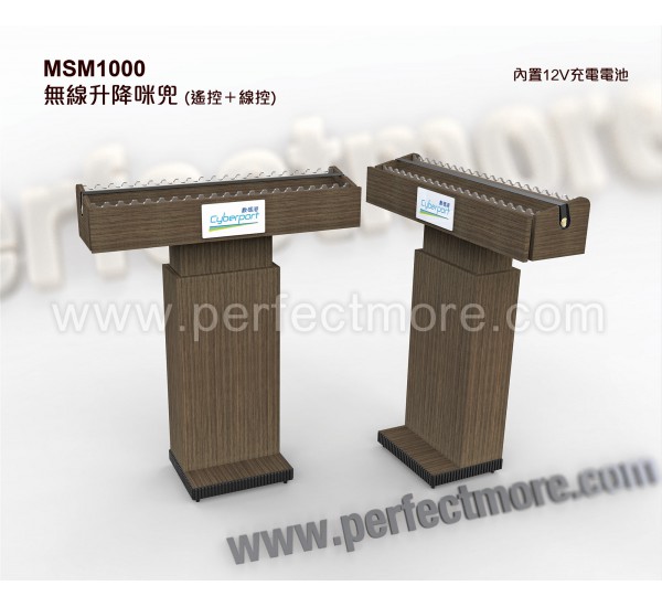 20M001